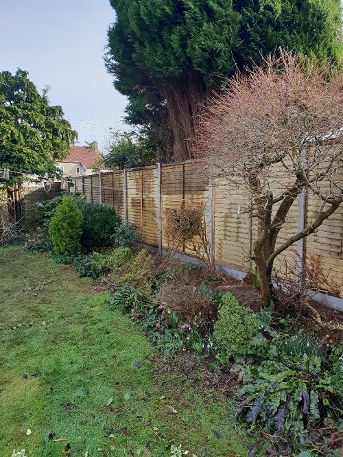 completed garden fence