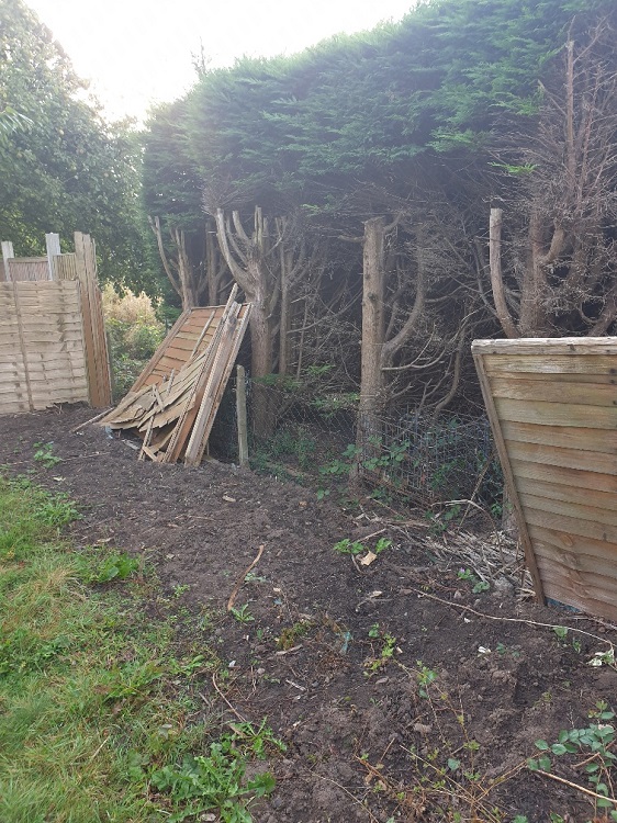 badly maintained fence