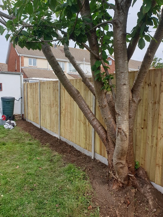 fence repair after