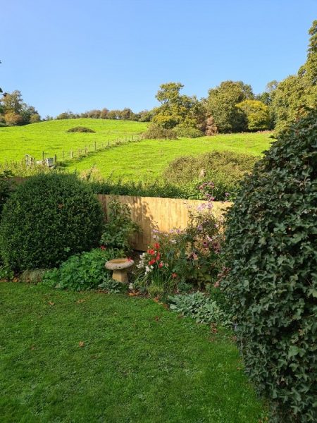 Newly installed featherboard fence