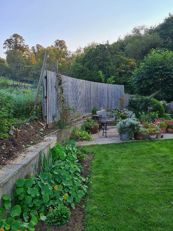 garden fence before
