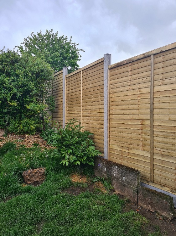 Pressure Treated Lapped Panels Replacement | Grant Pearcy Fencing