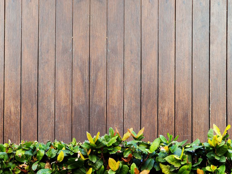 Stained wooden fence with green bush